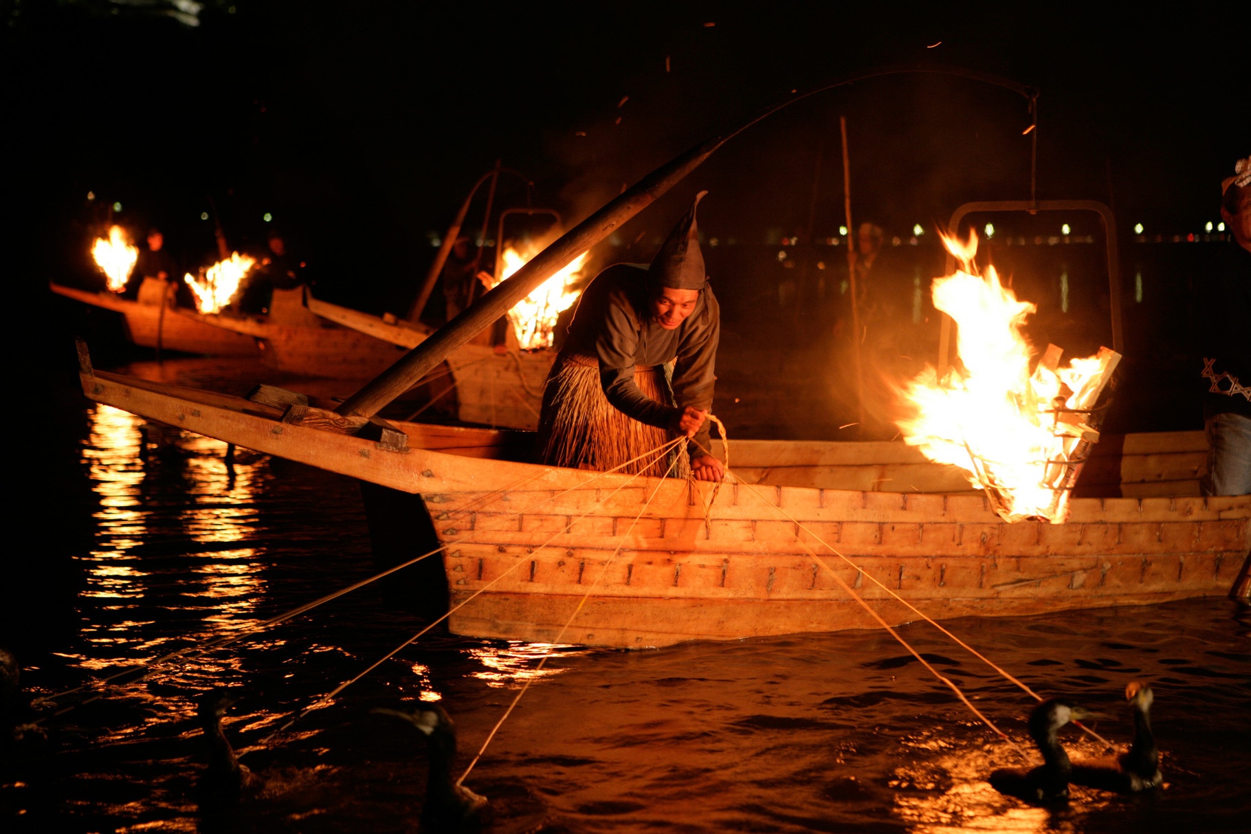 nghe danh ca bang chim coc Nhat Ban anh 2