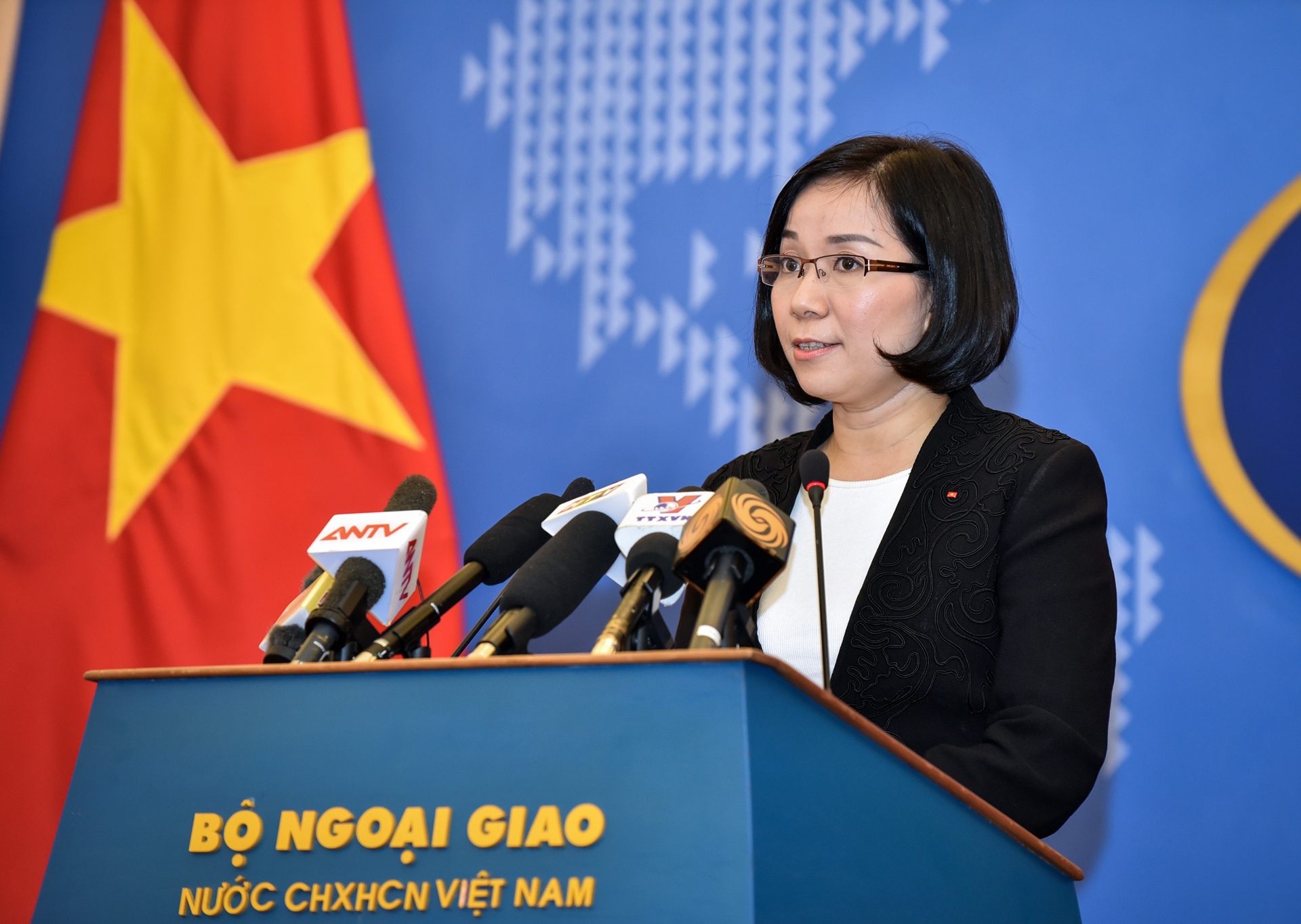 Viet Nam phan doi Dai Loan tap tran anh 1