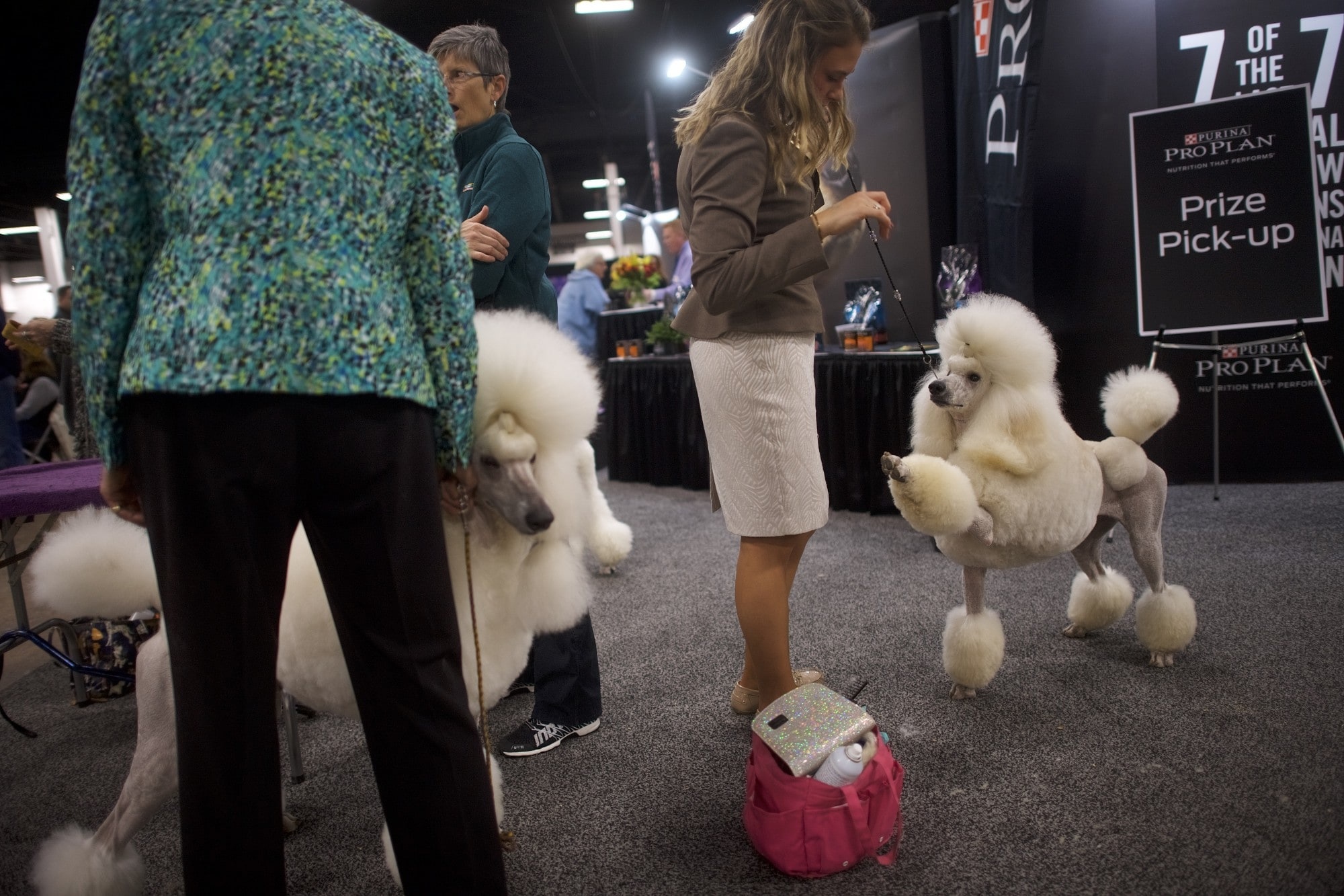 le hoi cho quoc gia cua My anh 5