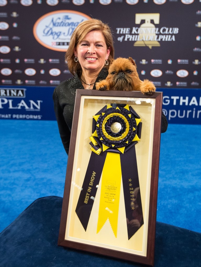 le hoi cho quoc gia cua My anh 9