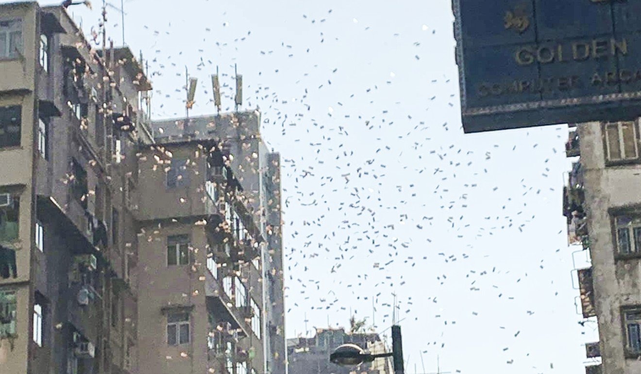 Thieu gia tien ao Hong Kong anh 1