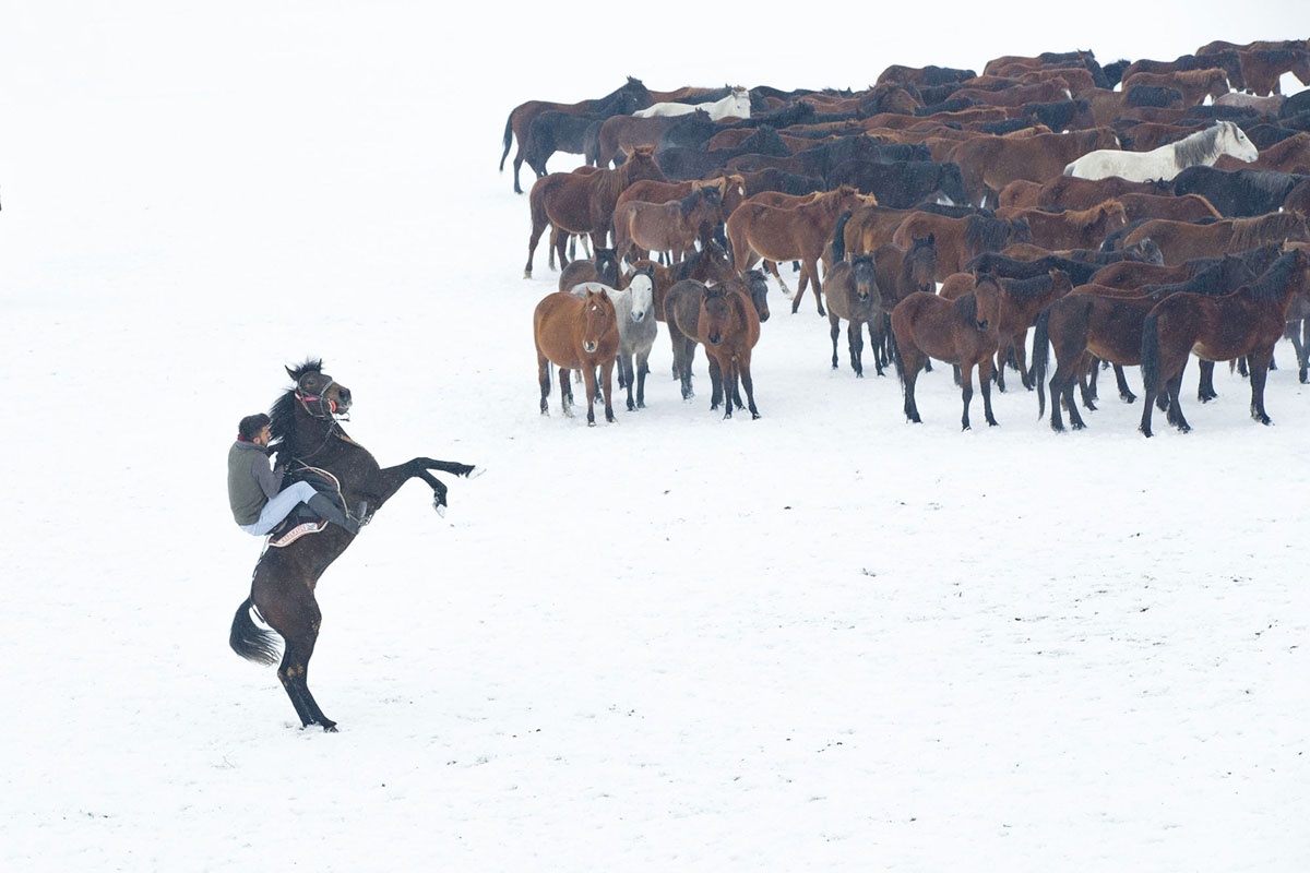 Giao hoang va Ha vien My vao top anh tuan anh 9