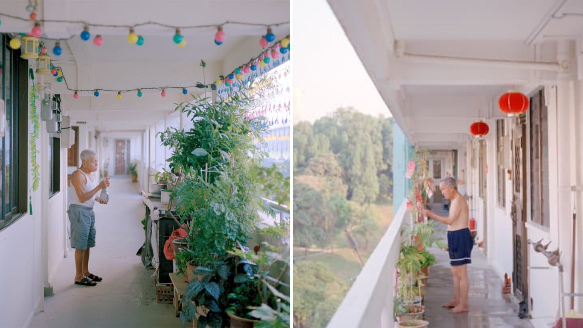 nhiep anh gia chup xu so than tien Singapore anh 5