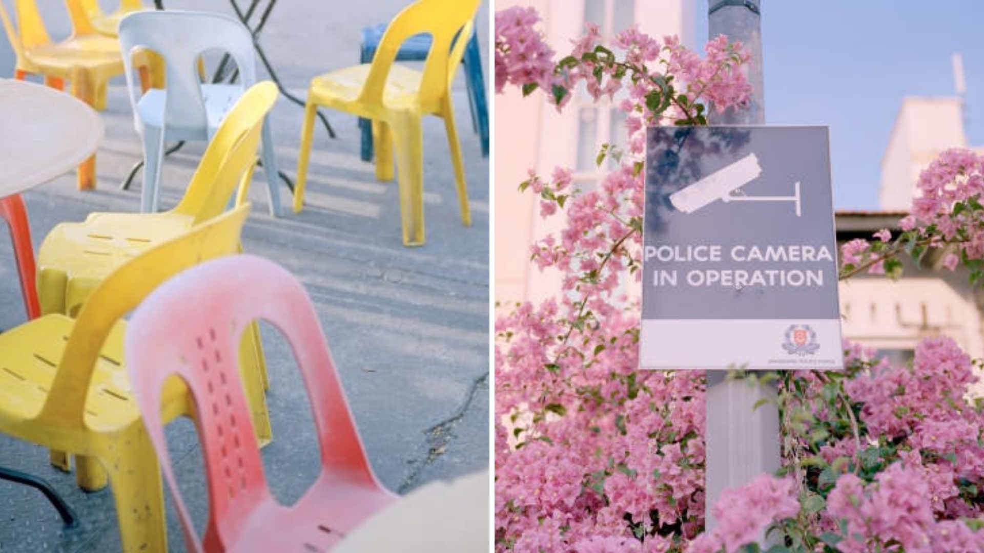 nhiep anh gia chup xu so than tien Singapore anh 10