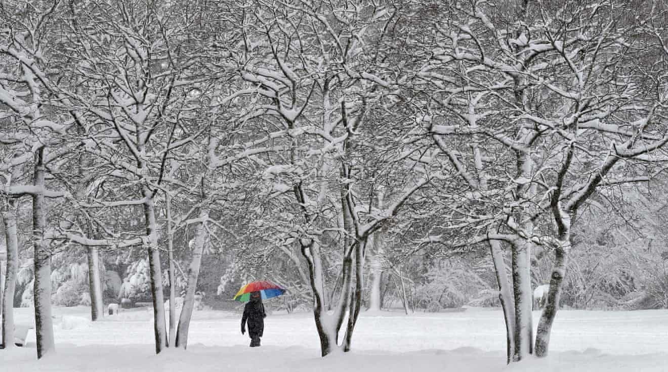 tuyet roi day tai nhieu noi tren the gioi anh 5