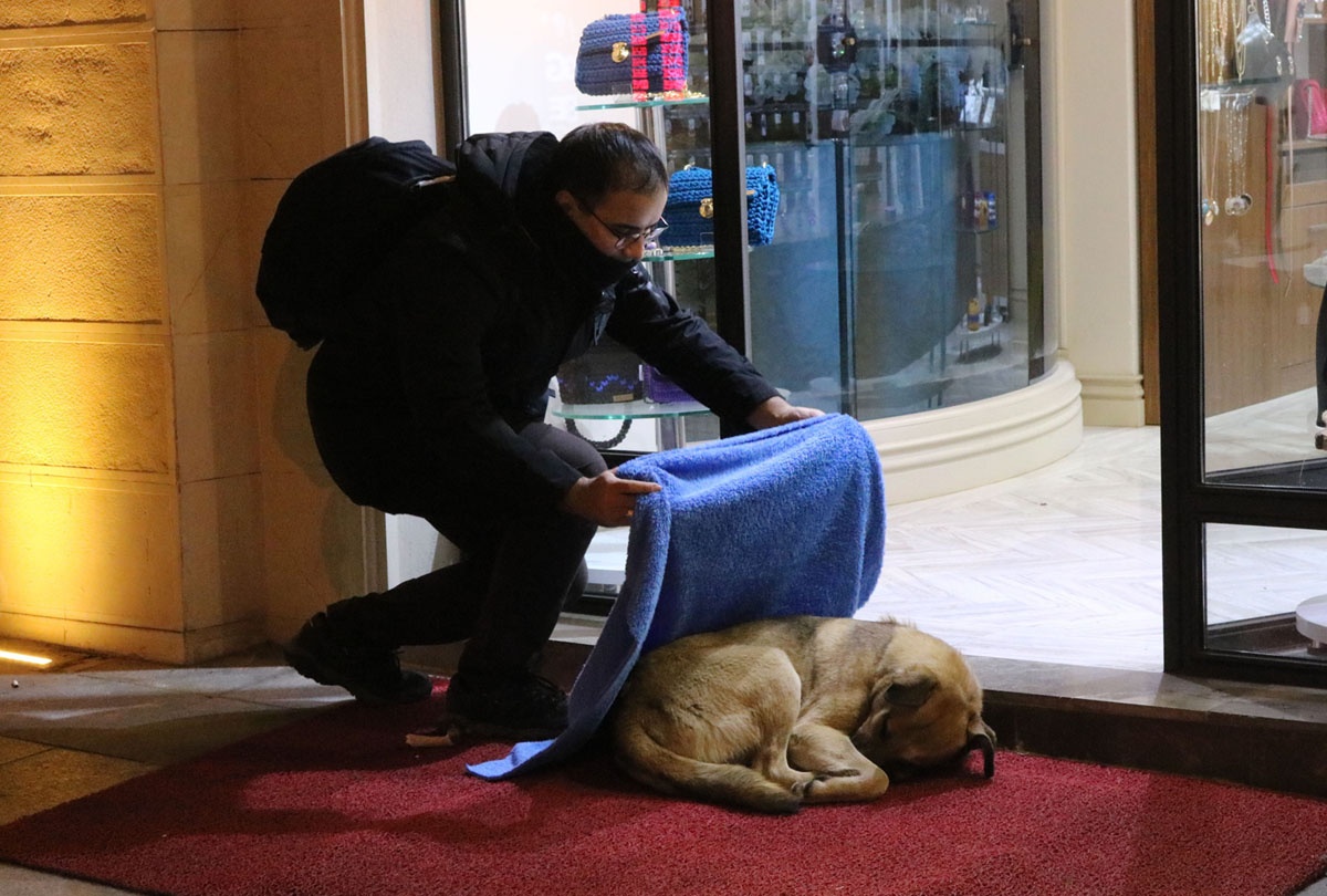 bieu tinh nu quyen anh 9