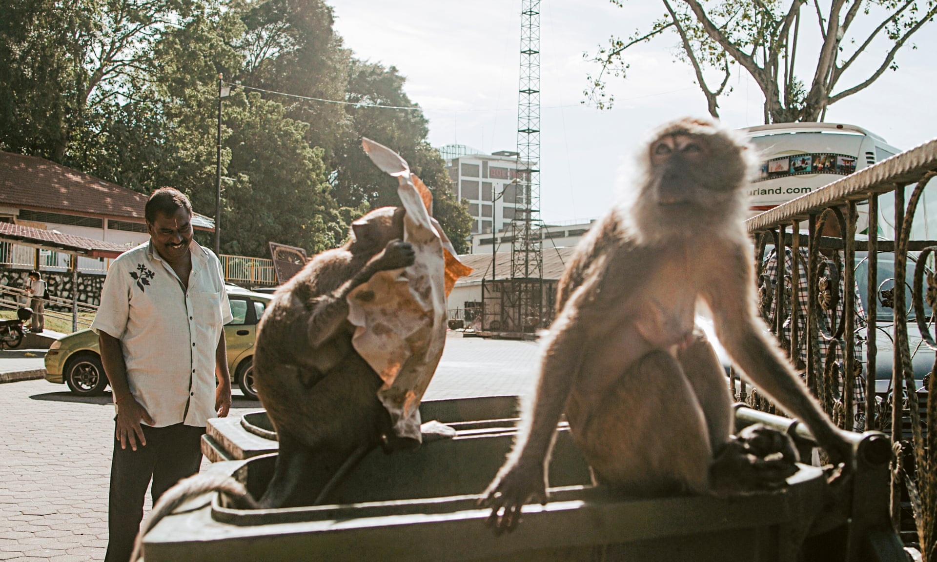 khi vao thanh pho tim thuc an o malaysia anh 4