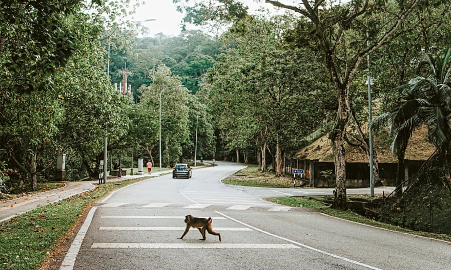 khi vao thanh pho tim thuc an o malaysia anh 12