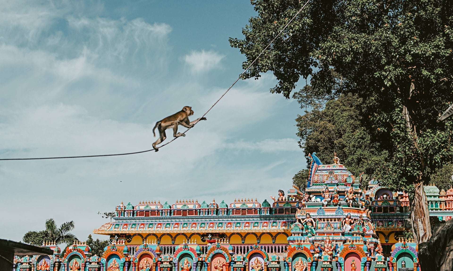 khi vao thanh pho tim thuc an o malaysia anh 6