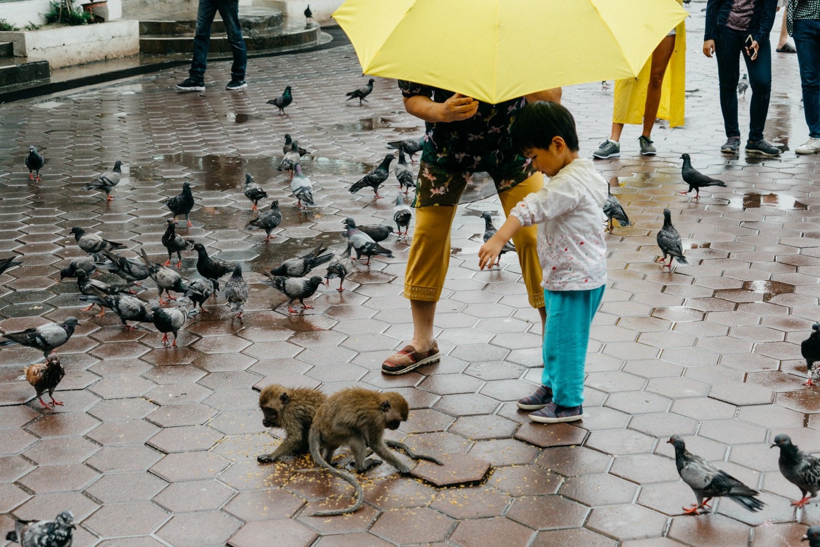 khi vao thanh pho tim thuc an o malaysia anh 11