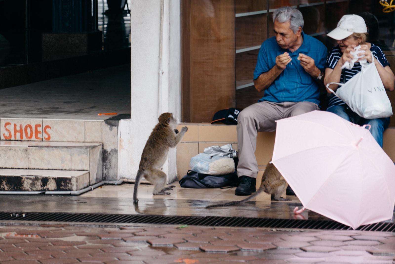 khi vao thanh pho tim thuc an o malaysia anh 8