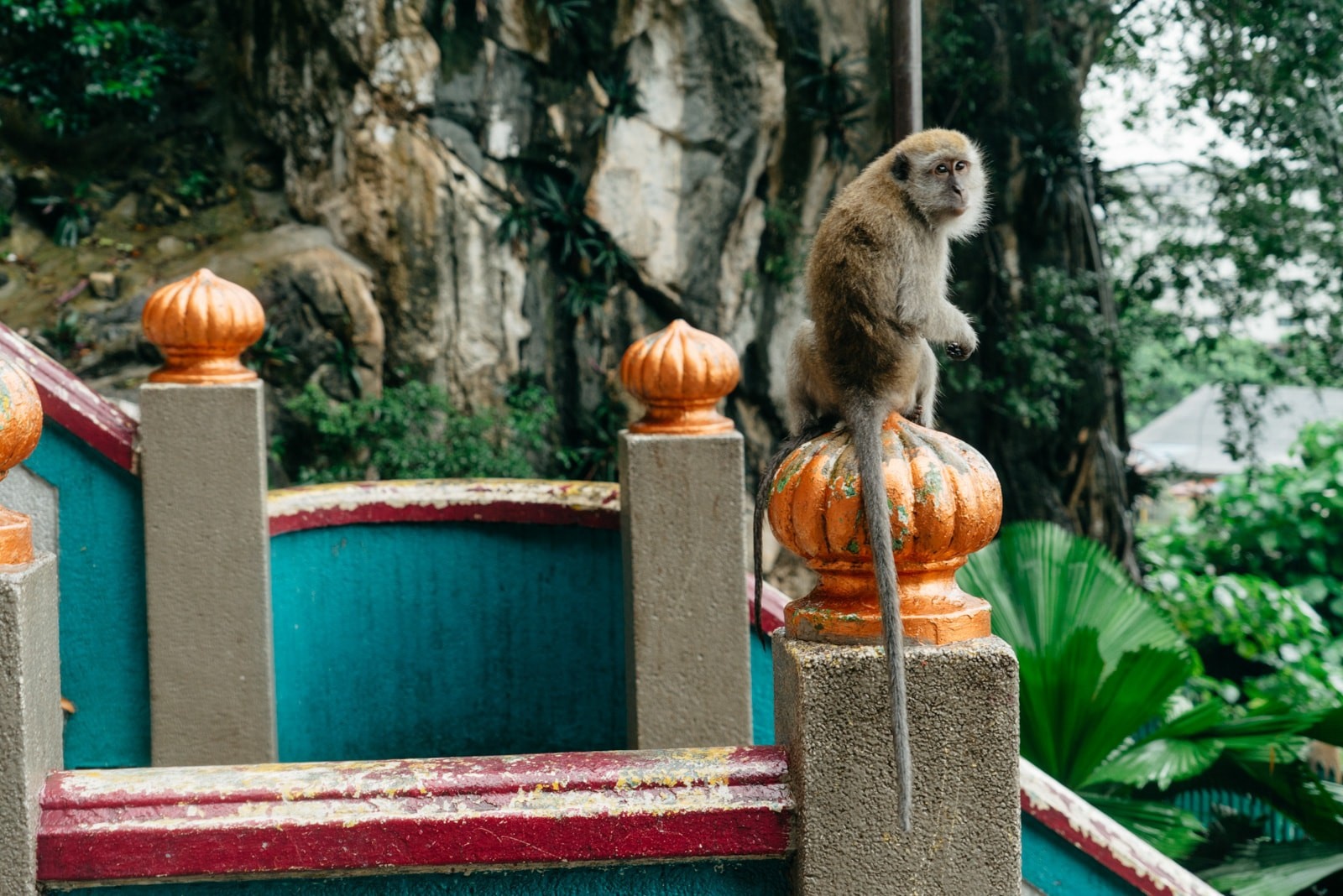 khi vao thanh pho tim thuc an o malaysia anh 10