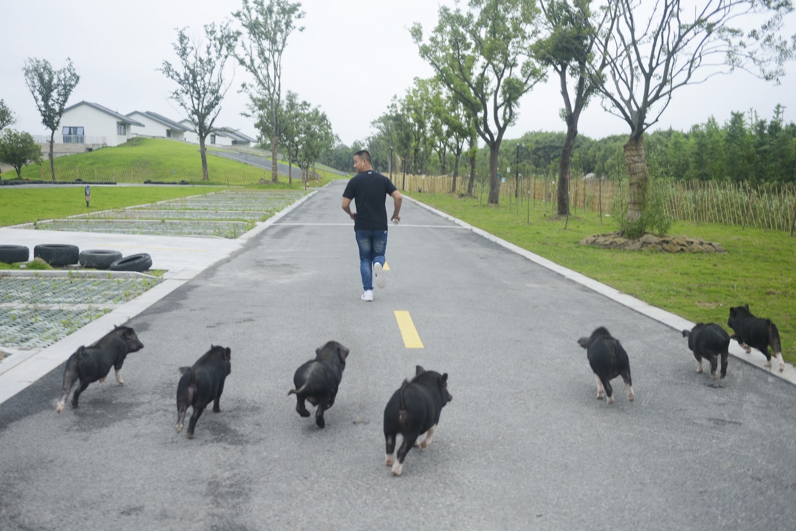cong vien hanh tinh lon o Trung Quoc anh 8