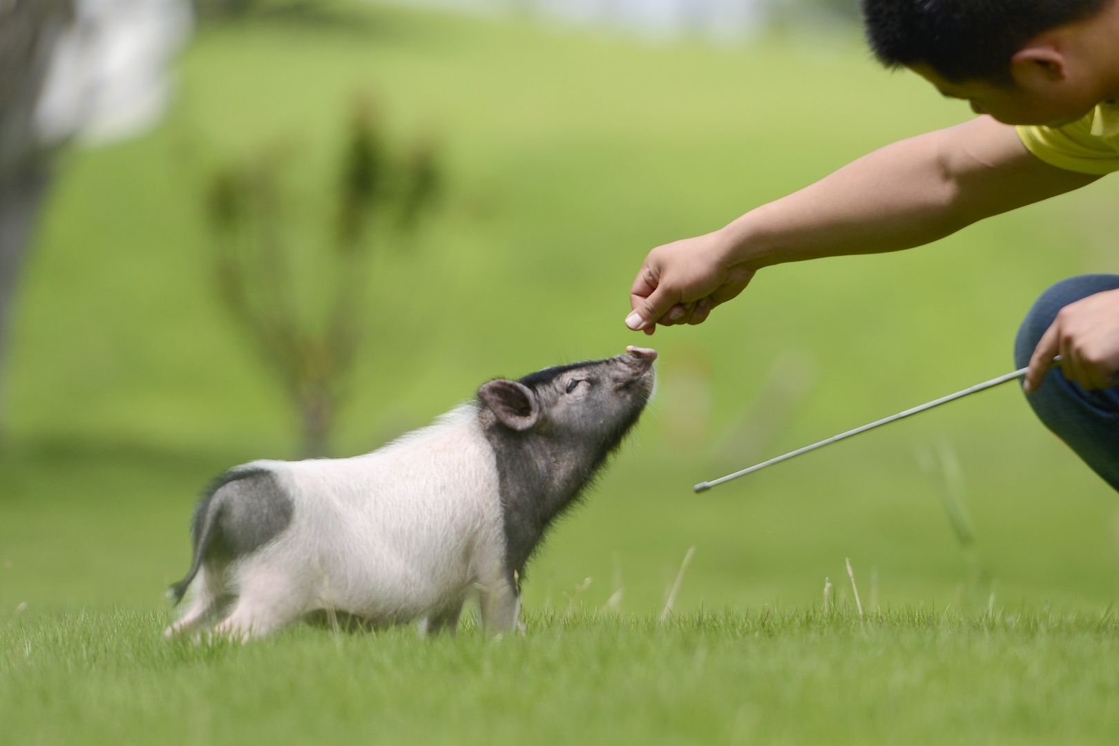cong vien hanh tinh lon o Trung Quoc anh 7