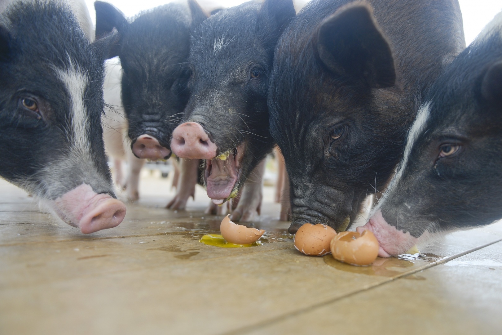 cong vien hanh tinh lon o Trung Quoc anh 5