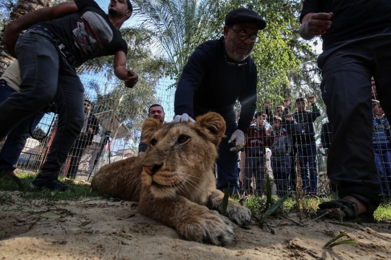 vuon thu cho khach choi voi su tu anh 1