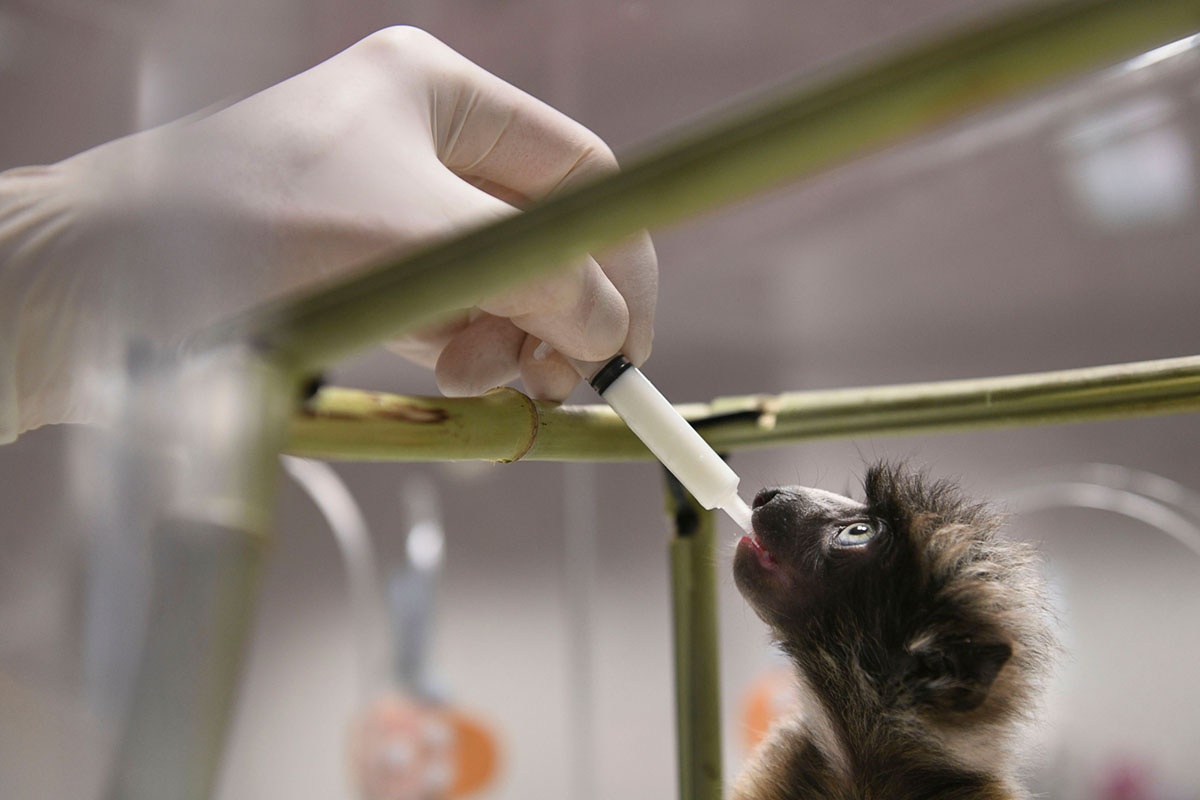 hoi nghi thuong dinh My Trieu tai Ha Noi anh 10