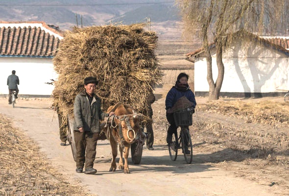 San luong luong thuc Trieu Tien thap nhat trong mot thap ky qua hinh anh