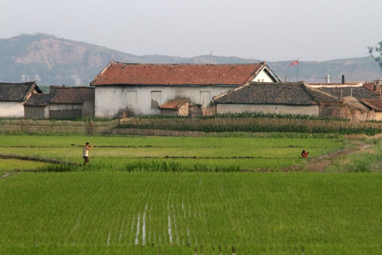 Triều Tiên thiếu lương thực ảnh 1 Trieu Tien thieu luong thuc anh 1