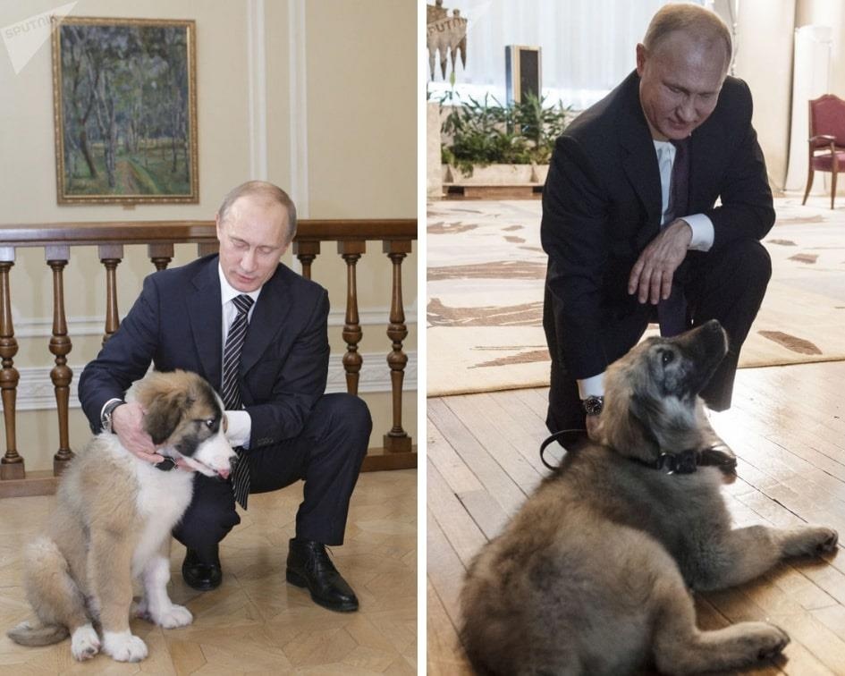 qua sinh nhat cua Tong thong Putin anh 6