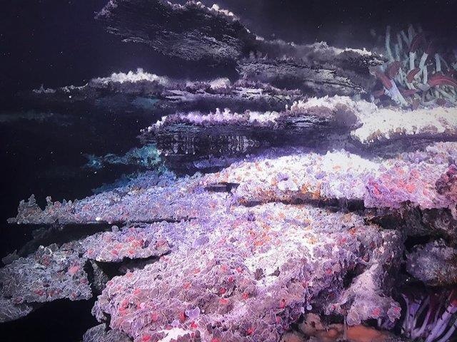 Phat hien 'ho guong' bi an duoi vinh California hinh anh