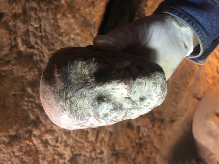 Truyen hinh truc tiep mo quach chua xac uop Ai Cap 2.500 nam hinh anh