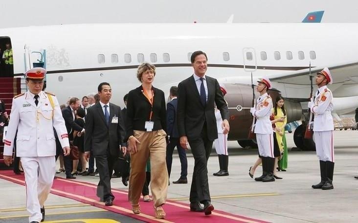 Thu tuong Ha Lan bat dau tham chinh thuc Viet Nam hinh anh
