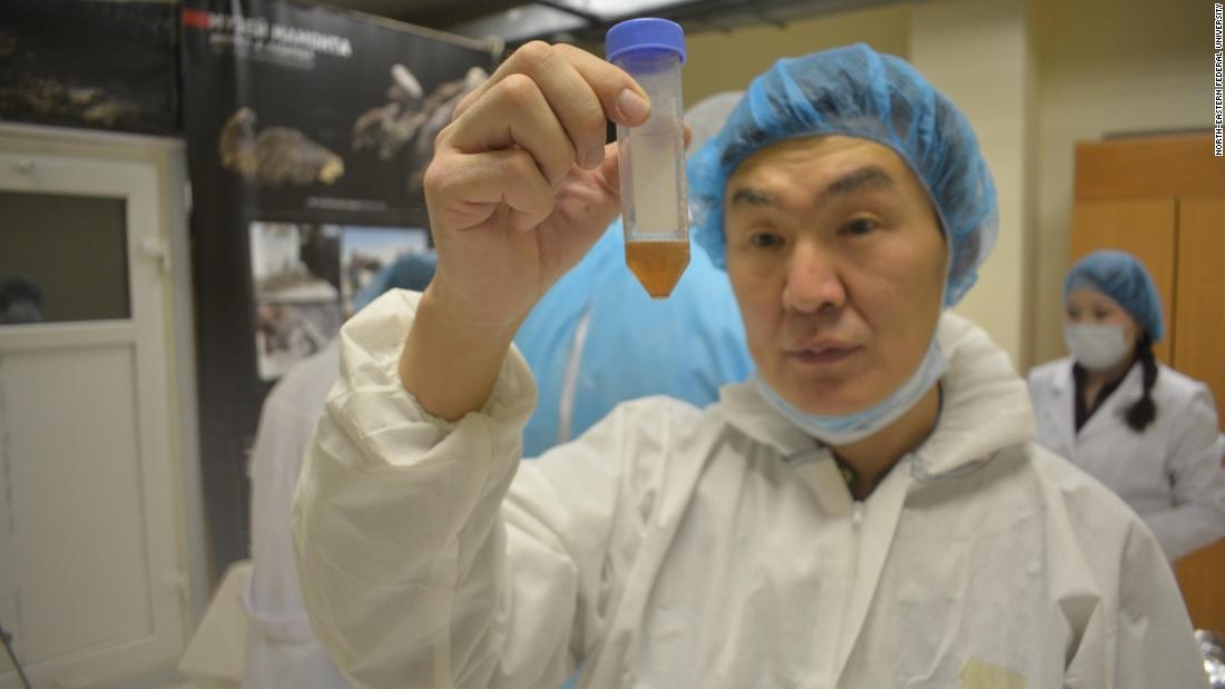 phat hien mau trong xac ngua 42.000 nam tuoi anh 2