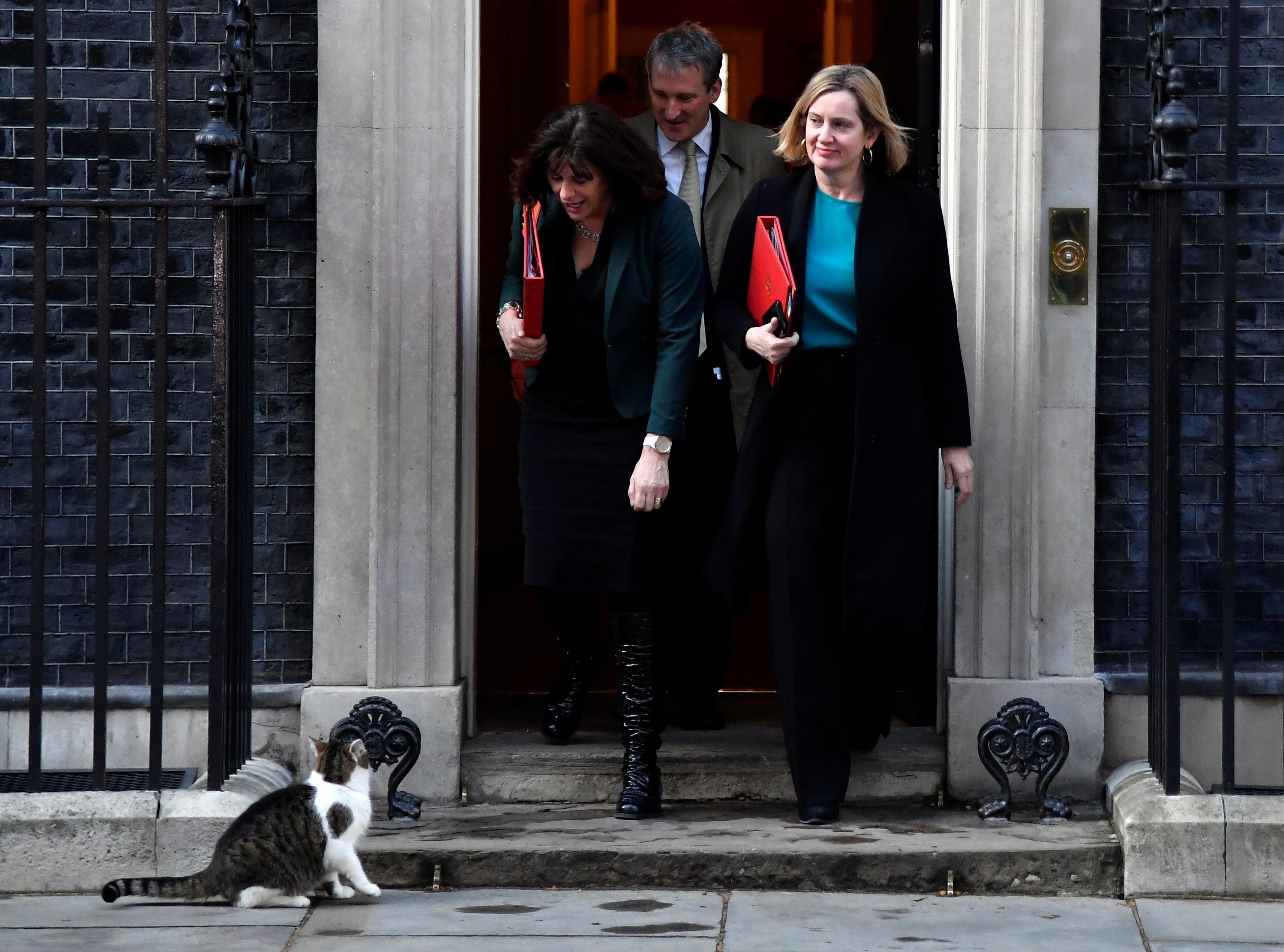 meo Larry trong dinh thu tuong Anh anh 7