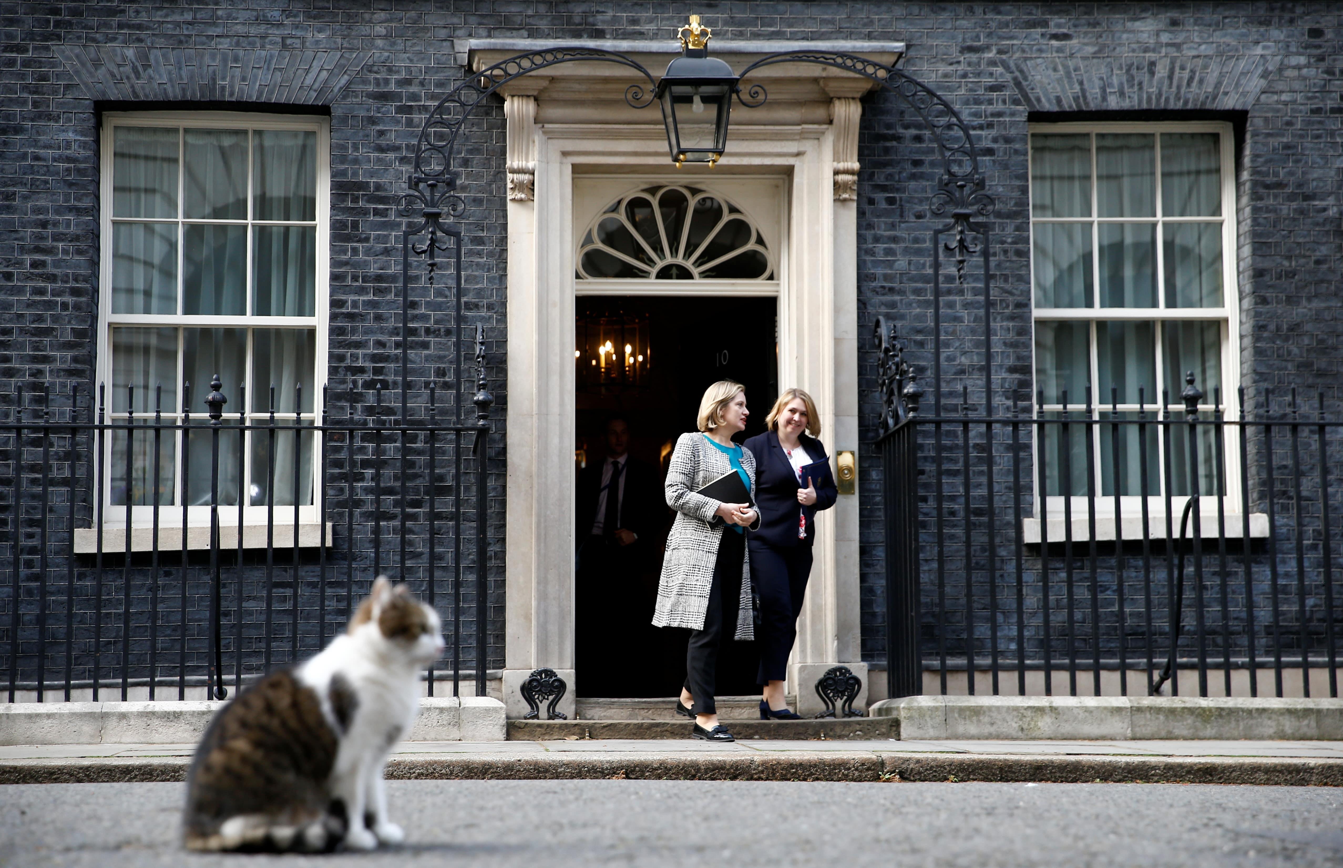 meo Larry trong dinh thu tuong Anh anh 6