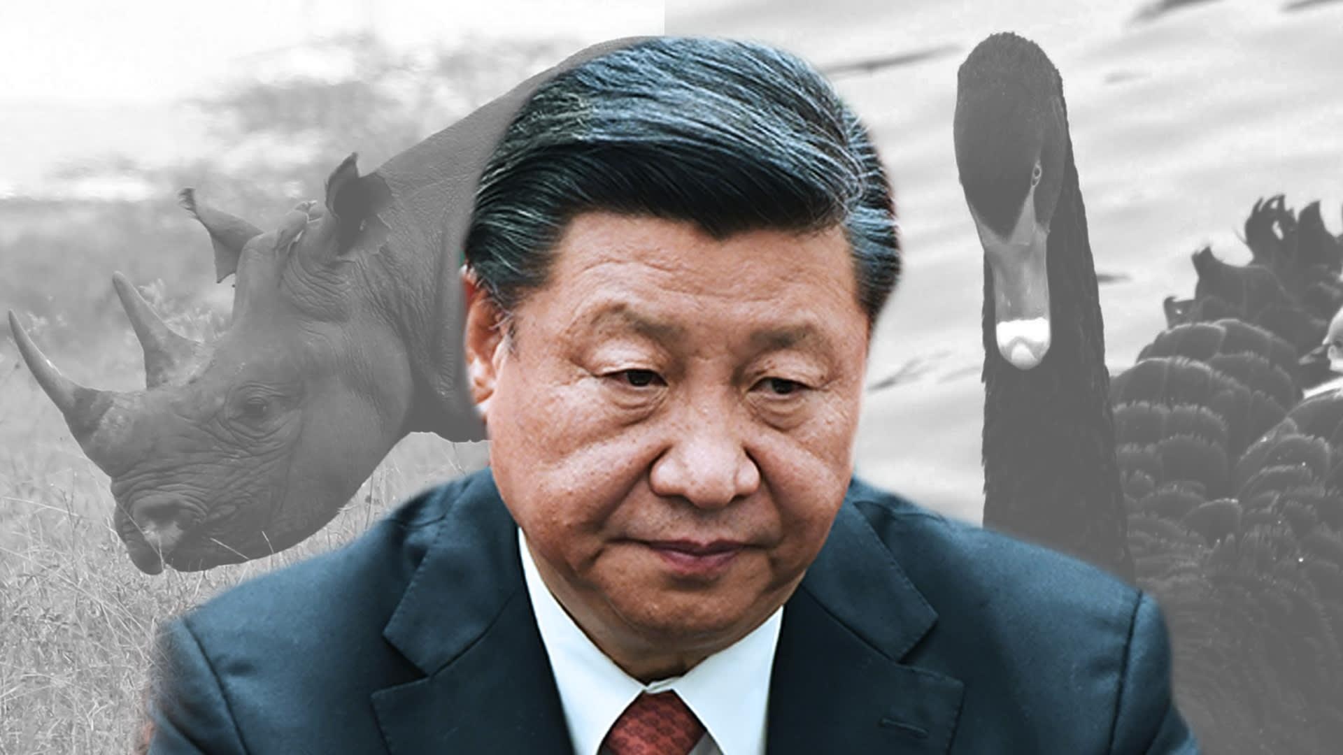 Cang thang leo thang, ong Tap keu goi bat dau Van ly Truong chinh moi hinh anh