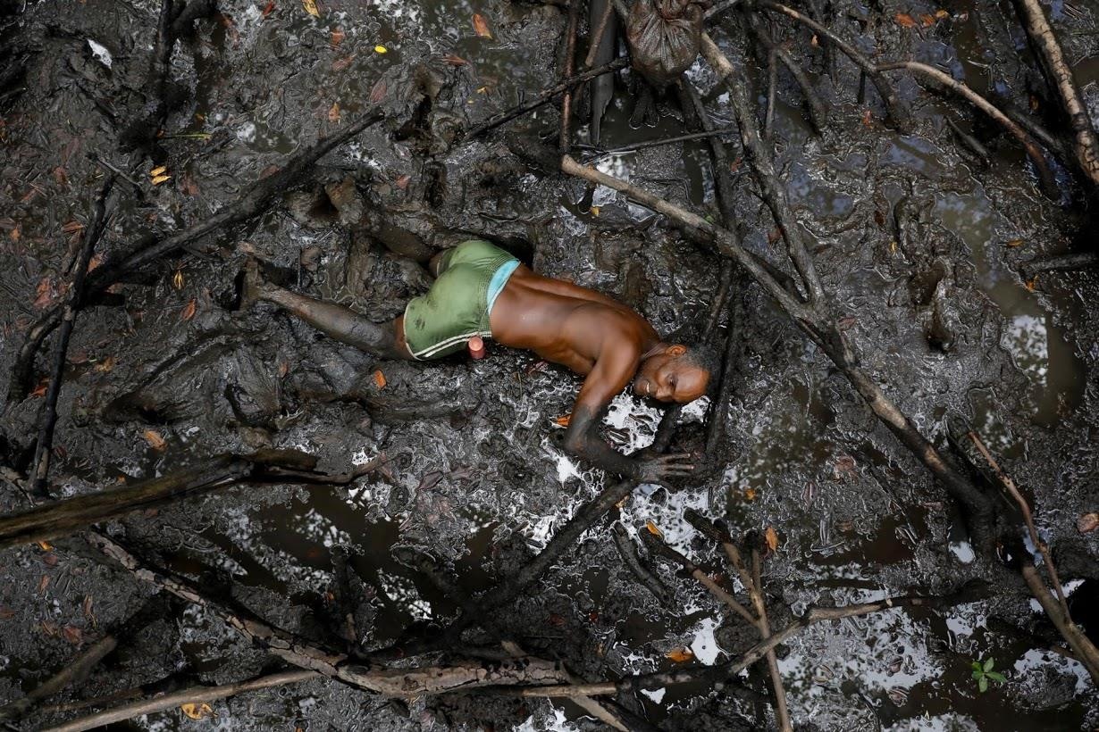 rung ngap man Brazil truoc bien doi khi hau anh 1