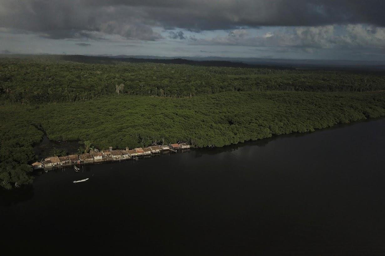 rung ngap man Brazil truoc bien doi khi hau anh 12