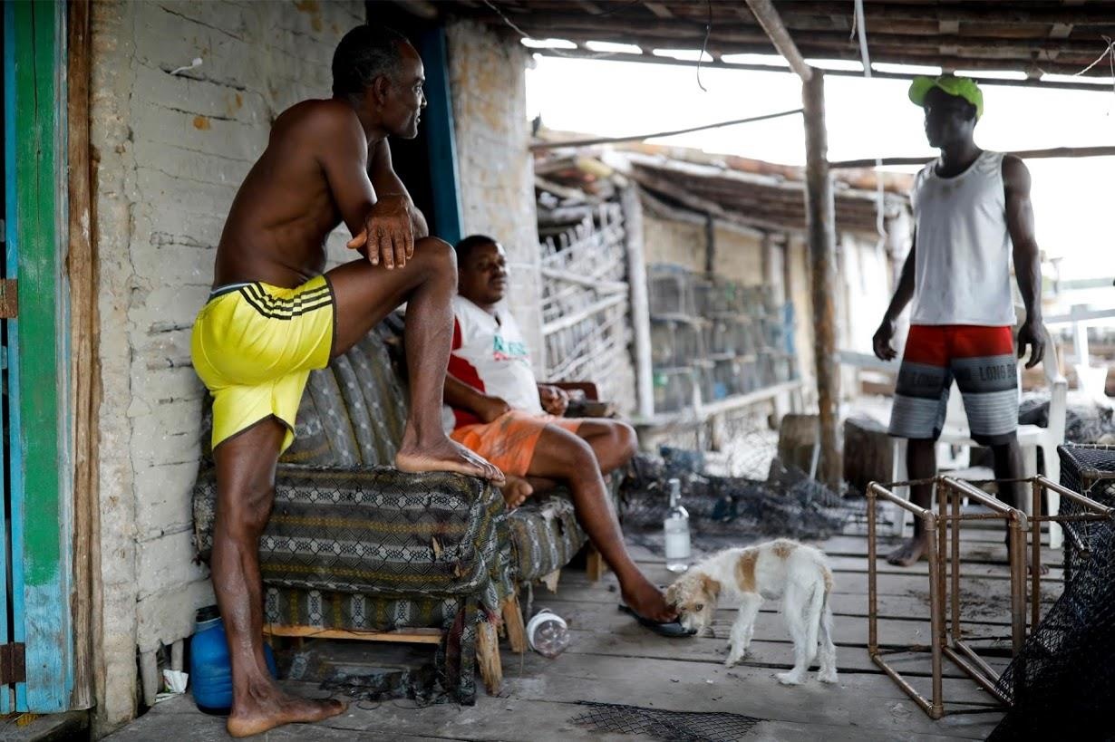 rung ngap man Brazil truoc bien doi khi hau anh 8