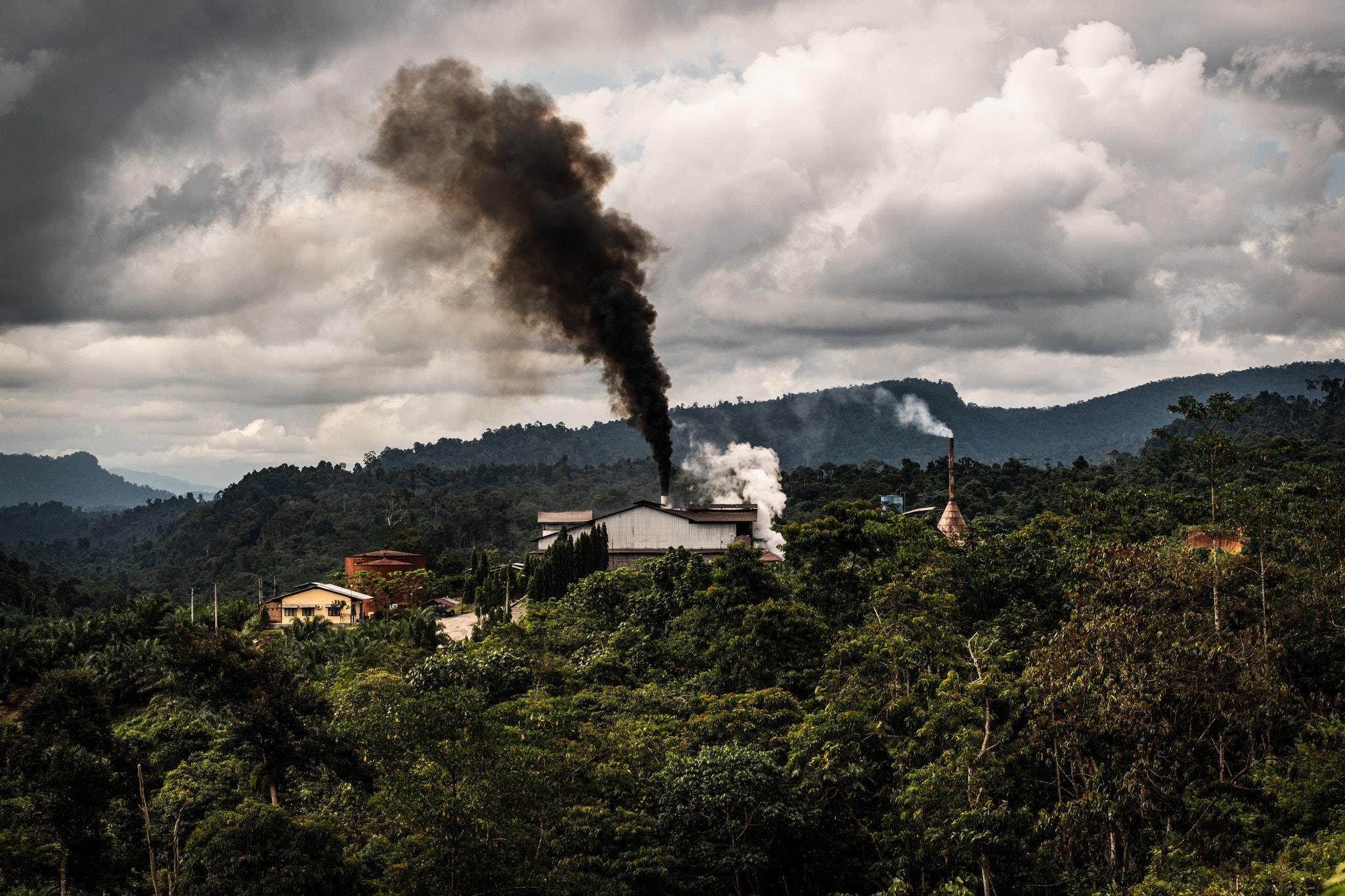 duoi uoi quy hiem anh 3