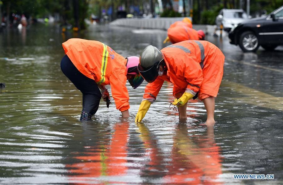 bao Wipha do bo Trung Quoc anh 5