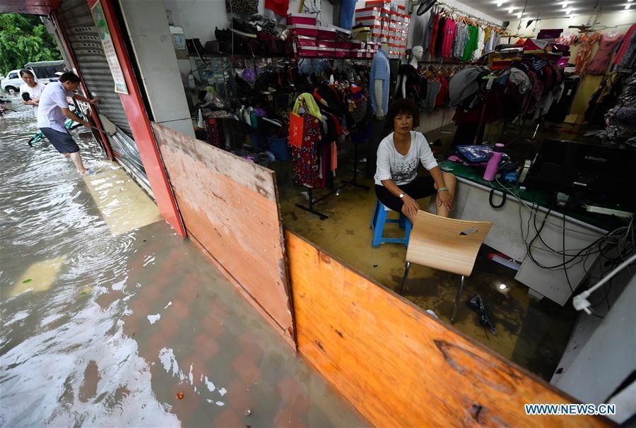 bao Wipha do bo Trung Quoc anh 7