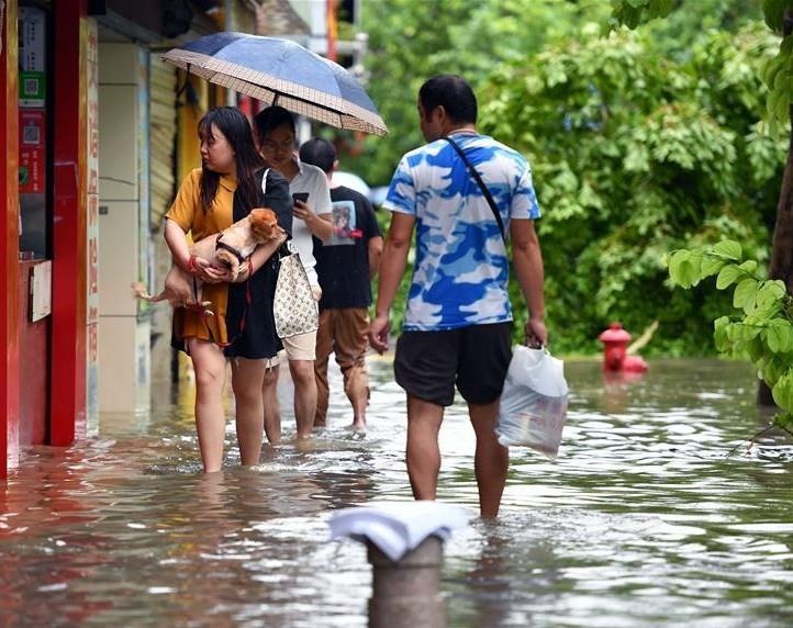 Bao Wipha bien duong pho Trung Quoc thanh song, cay bat goc hinh anh