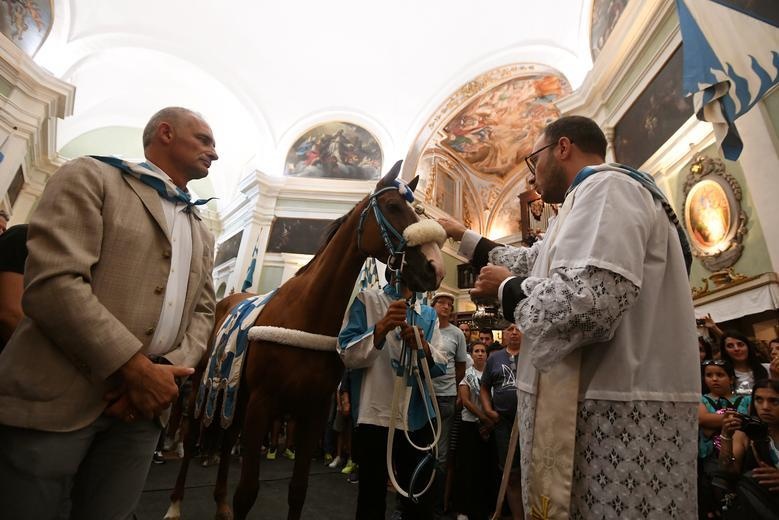 dua ngua o Italy anh 2