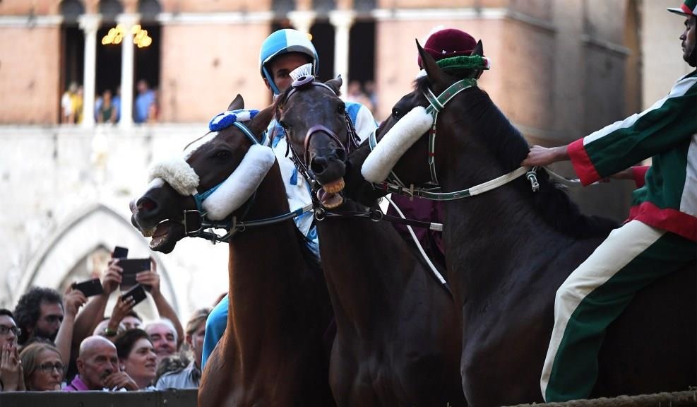 dua ngua o Italy anh 1