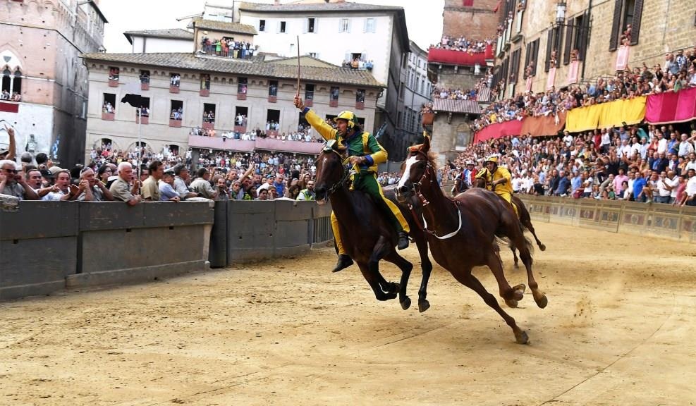 dua ngua o Italy anh 6