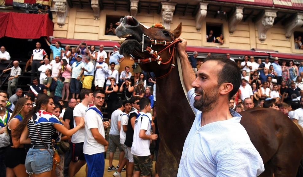 dua ngua o Italy anh 8