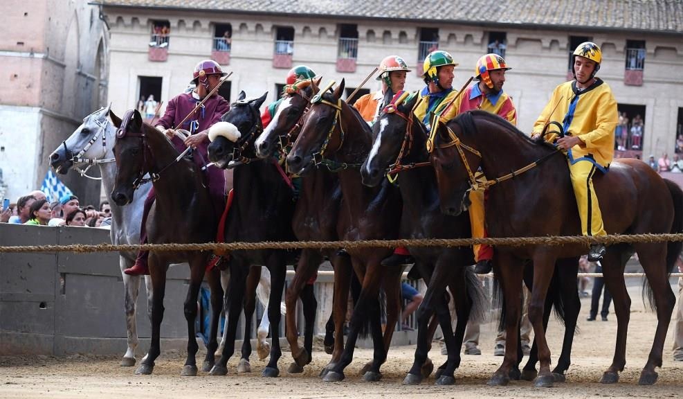 dua ngua o Italy anh 3