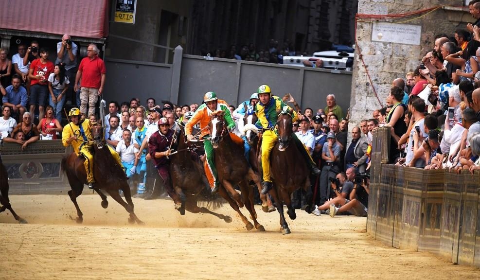 dua ngua o Italy anh 5