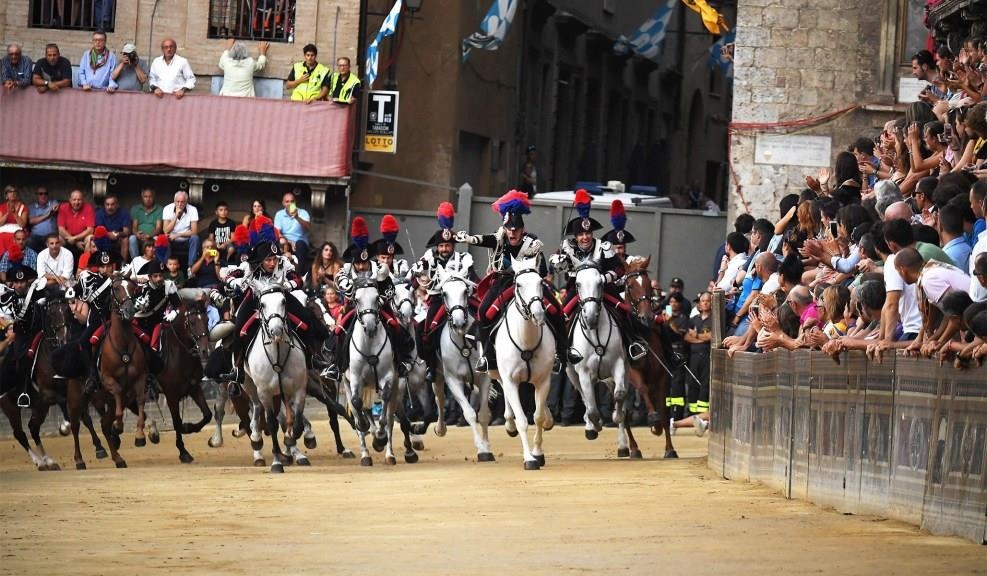 dua ngua o Italy anh 4