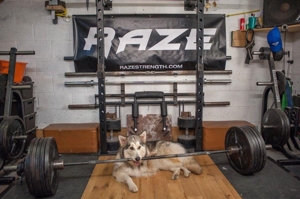 nguoi khoe nhat the gioi anh 6