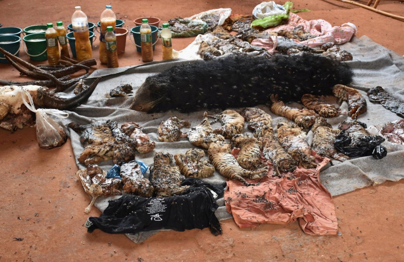 chua ho Thai Lan anh 9