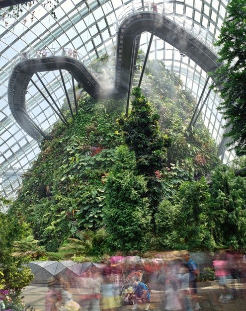 san bay Changi anh 7