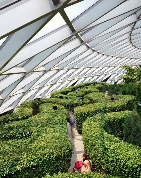 san bay Changi anh 8