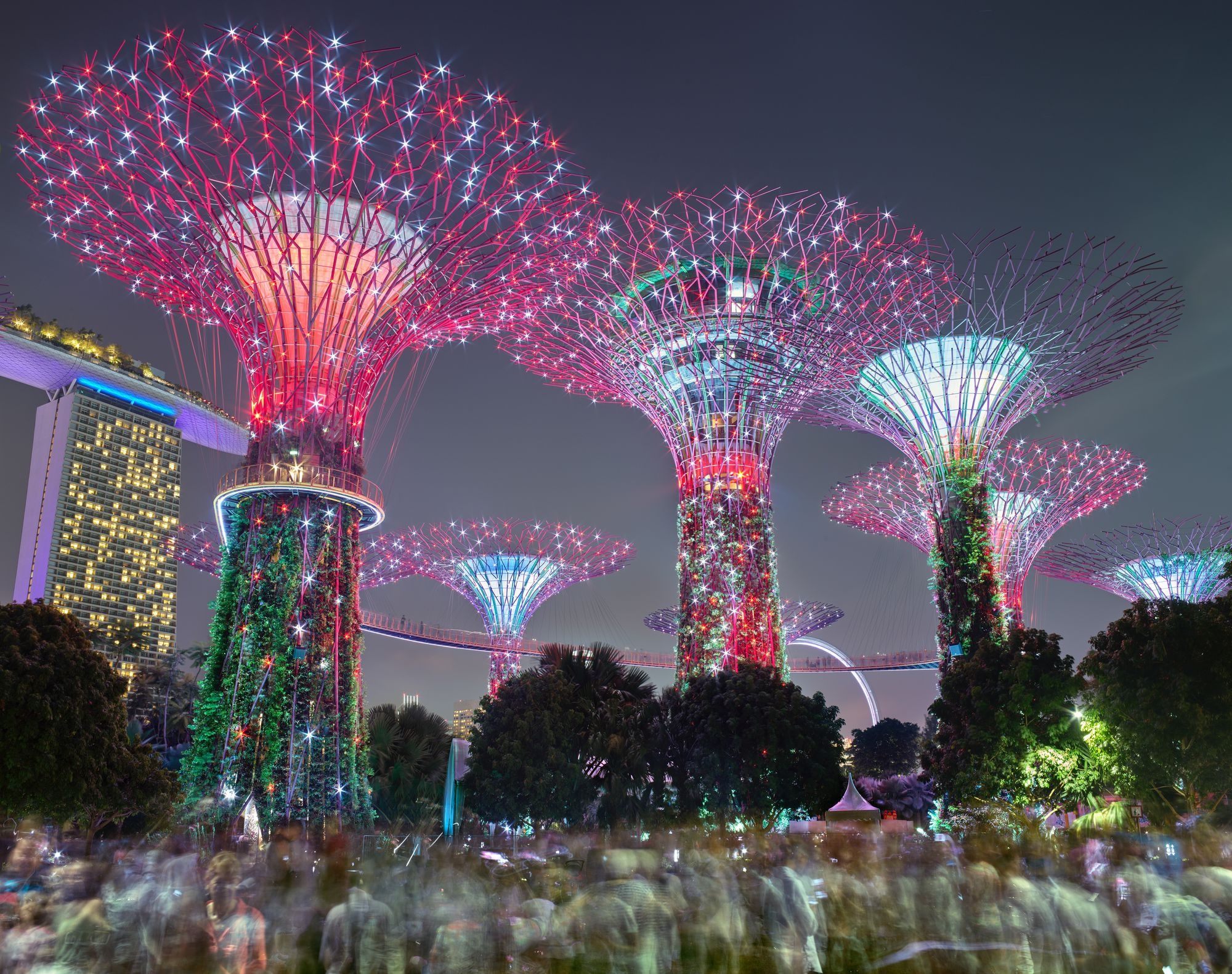 san bay Changi anh 3